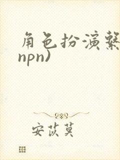 角色扮演系统(npn)