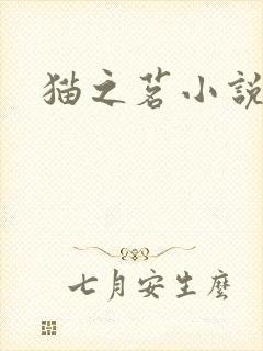 猫之茗小说