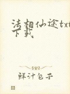 法相仙途txt下载