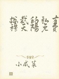 总裁的私有宝贝穆天阳免费