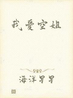我爱空姐封面
