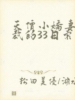 天价小娇妻,总裁的33日索情全文免费封面