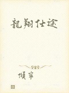 龙翔仕途