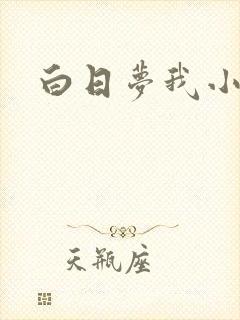白日梦我小说
