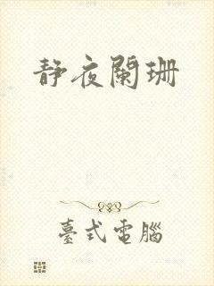 静夜阑珊