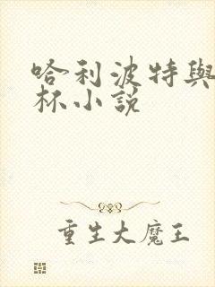 哈利波特与火焰杯小说