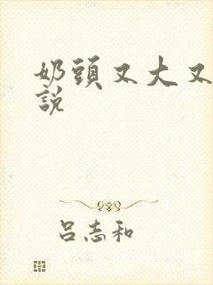 奶头又大又骚小说