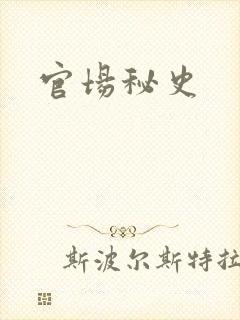 官场秘史
