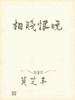 相贱恨晚封面