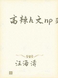 高辣h文np爽