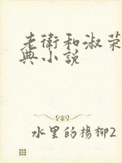 老卫和淑荣的经典小说