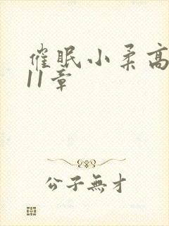 催眠小柔高达第11章封面