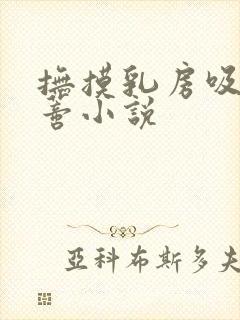 抚摸乳房吸吮阴蒂小说