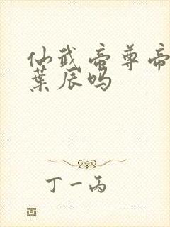 仙武帝尊帝荒是叶辰吗封面