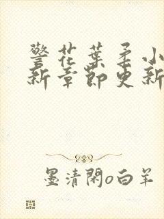 警花叶柔小说最新章节更新