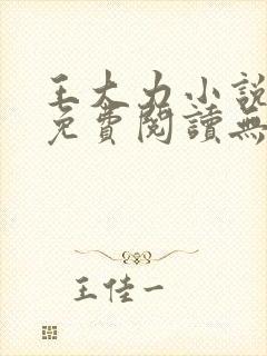 王大力小说小说免费阅读无弹窗