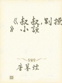 《叔叔,别撩我》小说