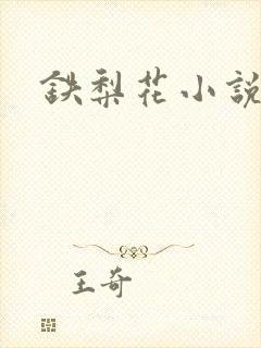 铁梨花小说封面
