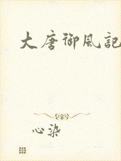 大唐御风记封面