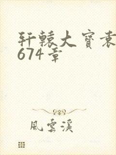 轩辕大宝袁雪妃674章