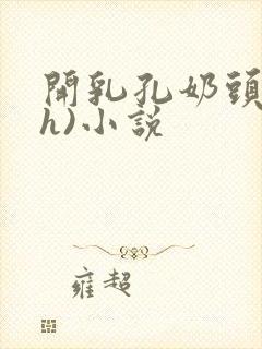 开乳孔奶头(高h)小说