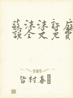 苏沫沫许庭川小说全文免费阅读