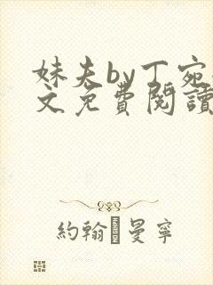 妹夫by丁宛全文免费阅读笔趣阁