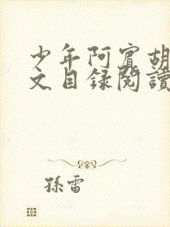 少年阿宾胡太全文目录阅读在线