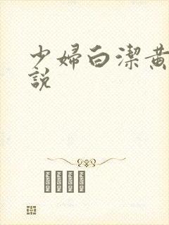 少妇白洁黄色小说