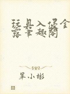 玩具入侵金银花露笔趣阁封面