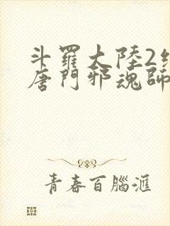 斗罗大陆2绝世唐门邪魂师