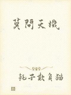 莫问天机封面