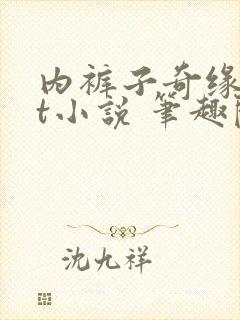 内裤子奇缘txt小说 笔趣阁