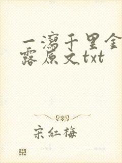 一泻千里金银花露原文txt封面