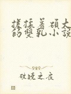 搓揉着硕大丰满的双乳小说