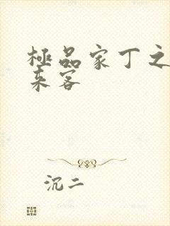 极品家丁之远方来客