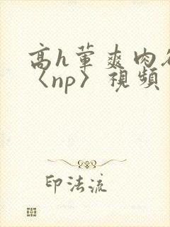 高h荤爽肉欲文〈np〉视频