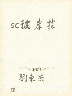 sc彼岸花封面
