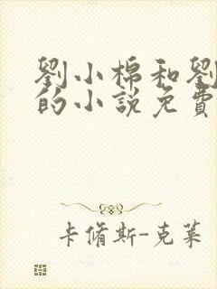 刘小棉和刘易文的小说免费阅读