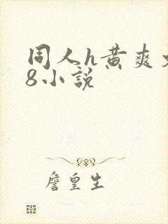 同人h黄爽文18小说