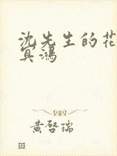 沈先生的花式调冥鸿