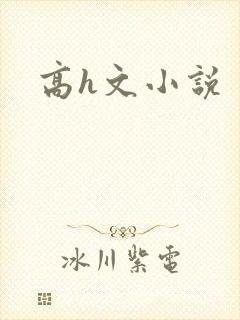 高h文小说