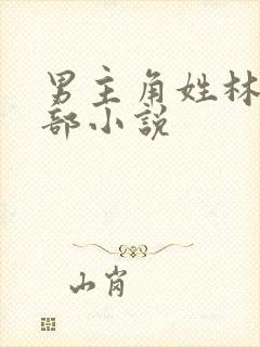 男主角姓林的全部小说