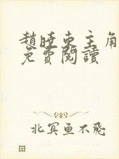 赵晓东主角小说免费阅读