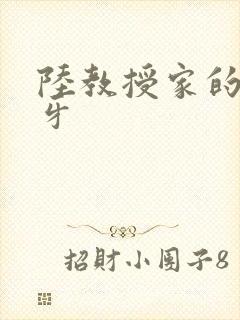 陆教授家的小月牙