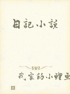 日记小说封面