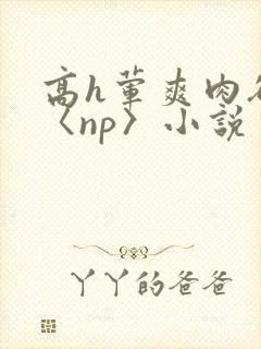 高h荤爽肉欲文〈np〉小说