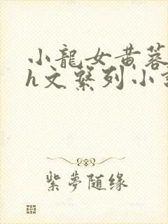 小龙女黄蓉高辣h文系列小说介绍