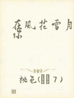 在风花雪月里等你