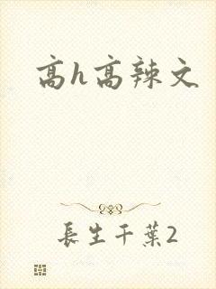 高h高辣文
